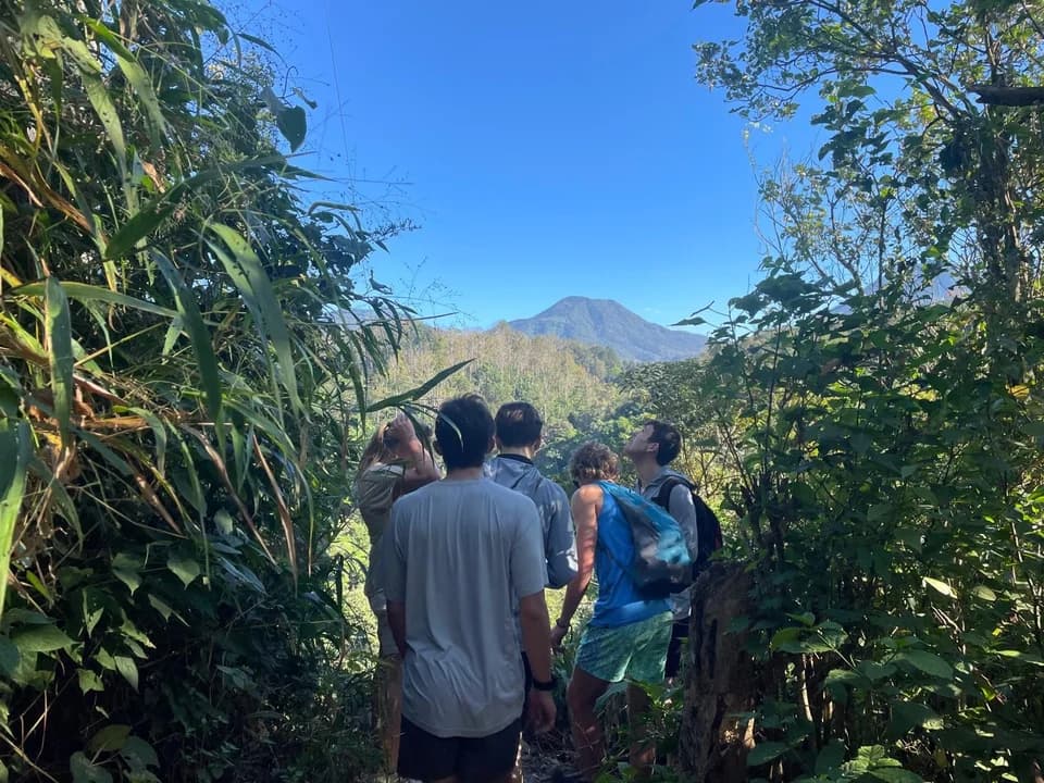 Hiking through lush green vegetation