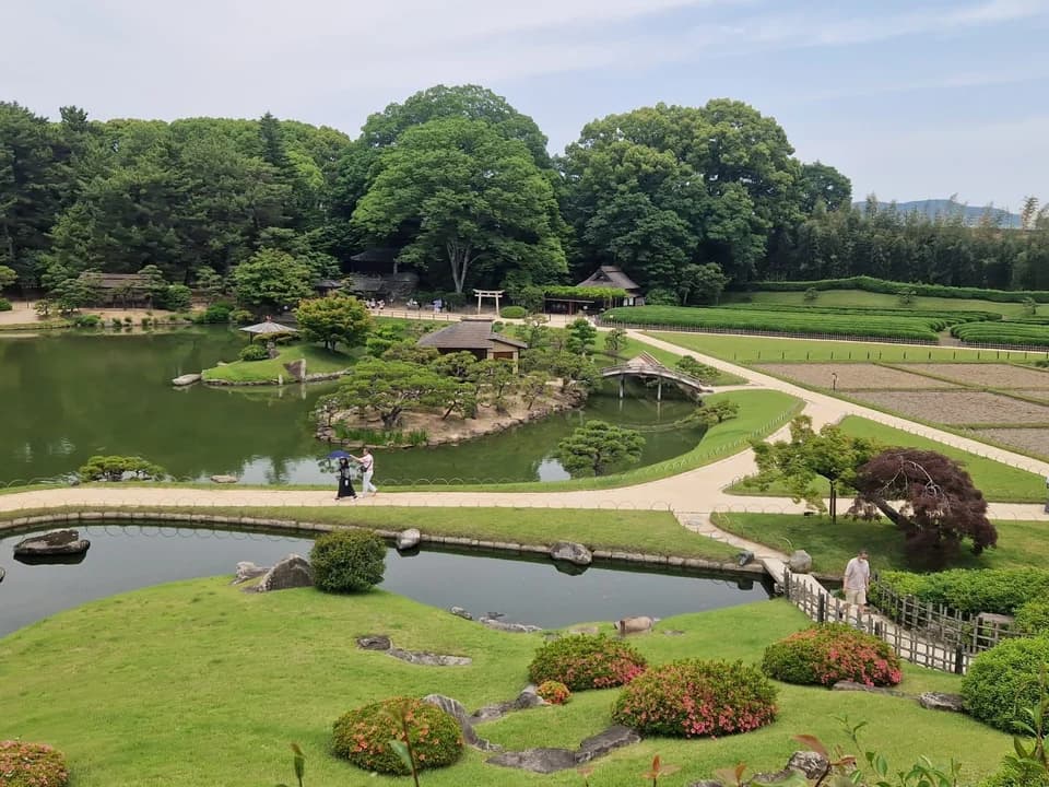 A landscaped garden with a pond and stone paths